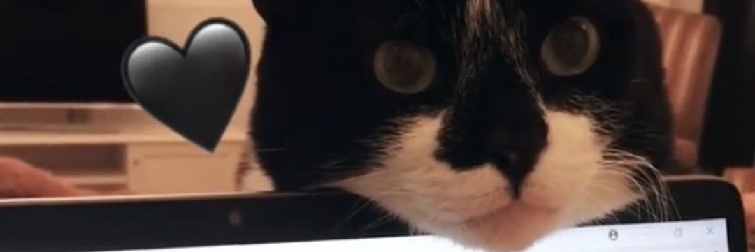 Shadow_Narin 🦅 banner