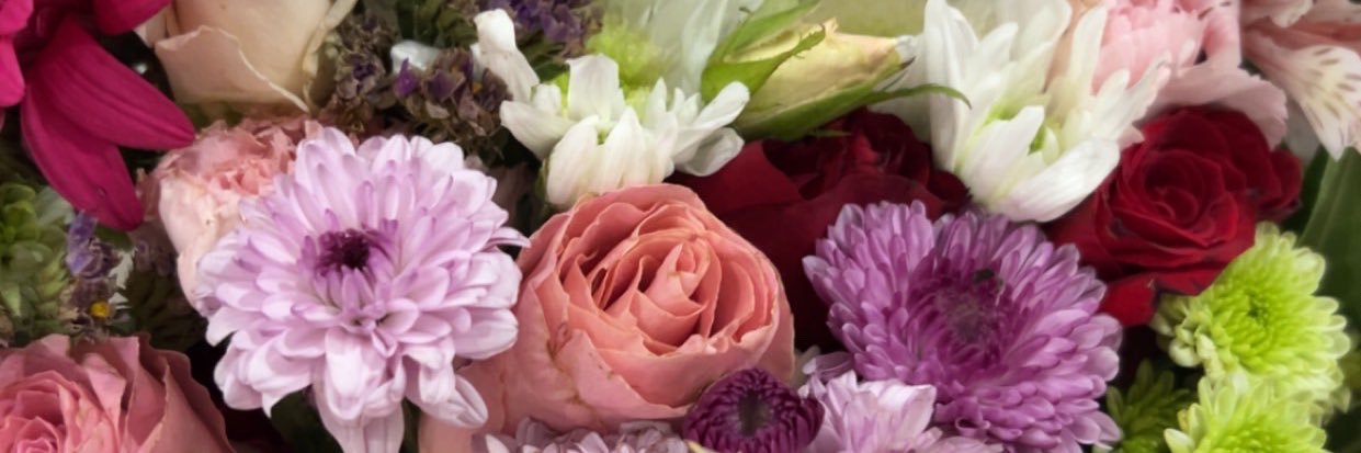 valeriagzzo's profile banner image