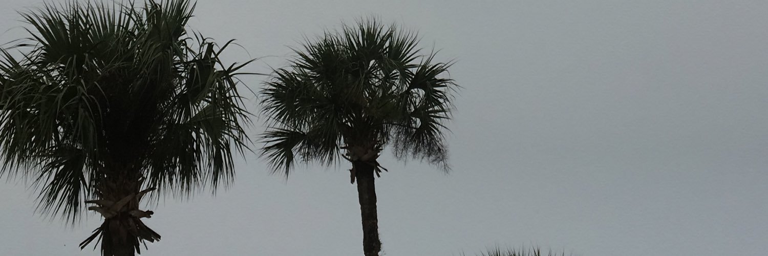 MAM1596's profile banner image