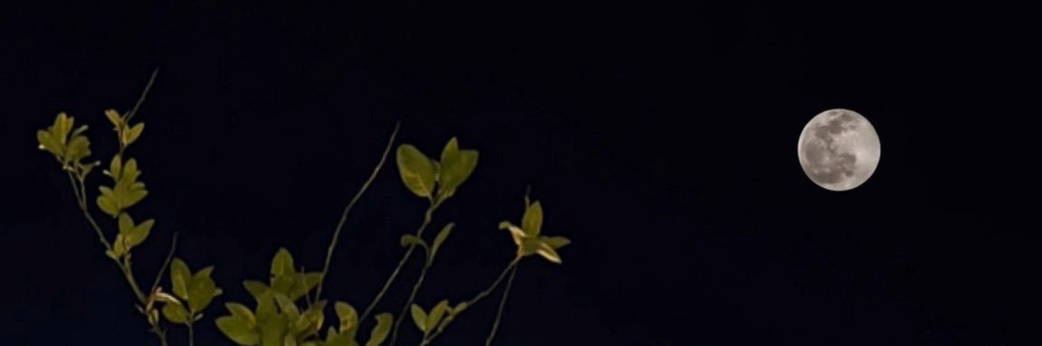 فـرحــان banner