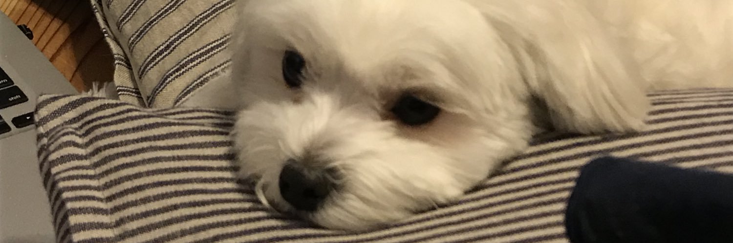 isael_la's profile banner image