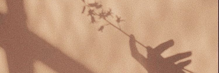 ajlovb's profile banner image