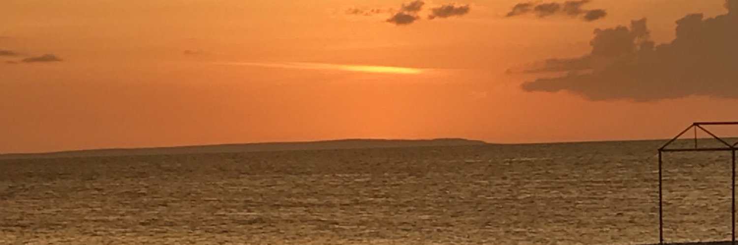 Lucasavz's profile banner image