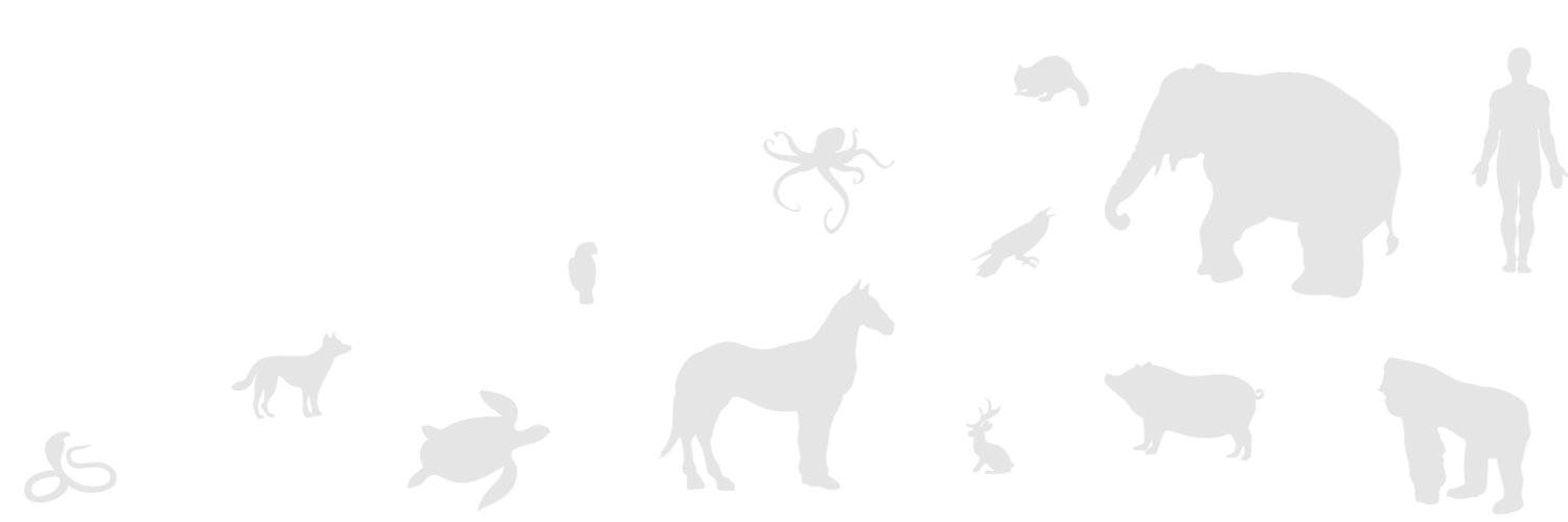 TheShiftingLens's profile banner image