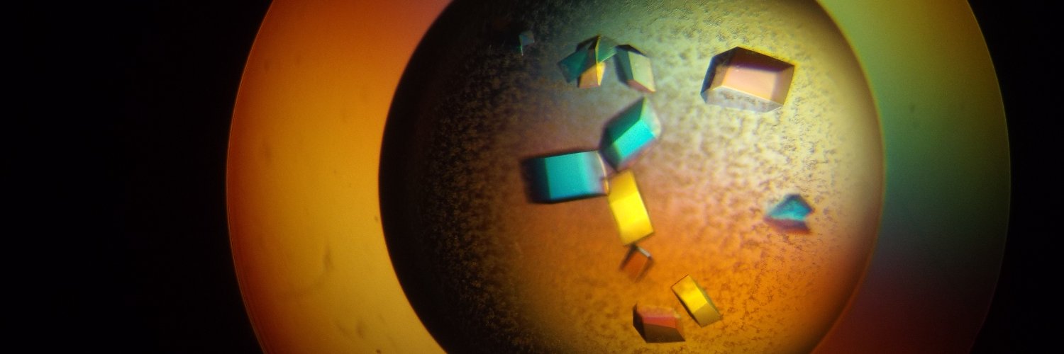 Mohammad Kawsar Manik banner