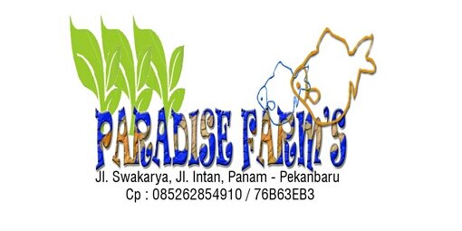 firdaus_daaus's profile banner image
