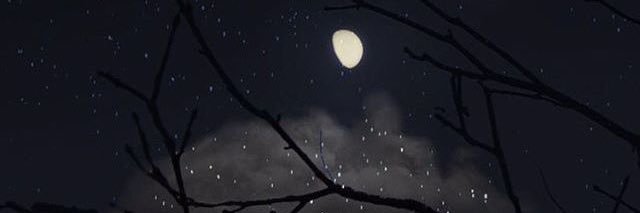 A banner