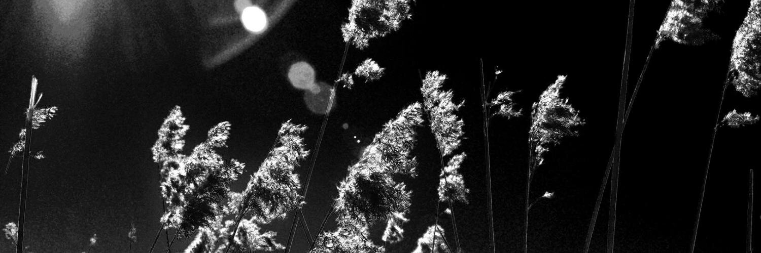ChrisCrader's profile banner image
