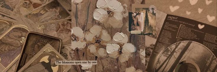 Swift_Chalamet's profile banner image
