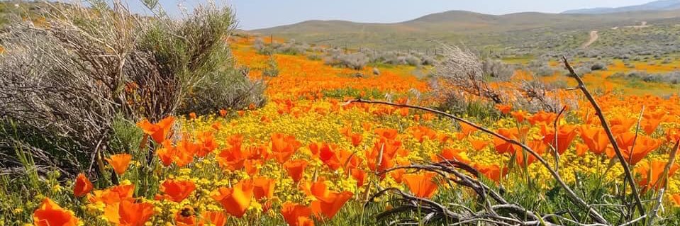 Grace Resources banner