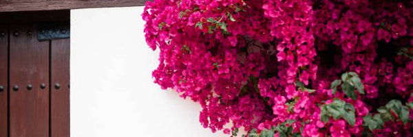 redmischa Profile Banner