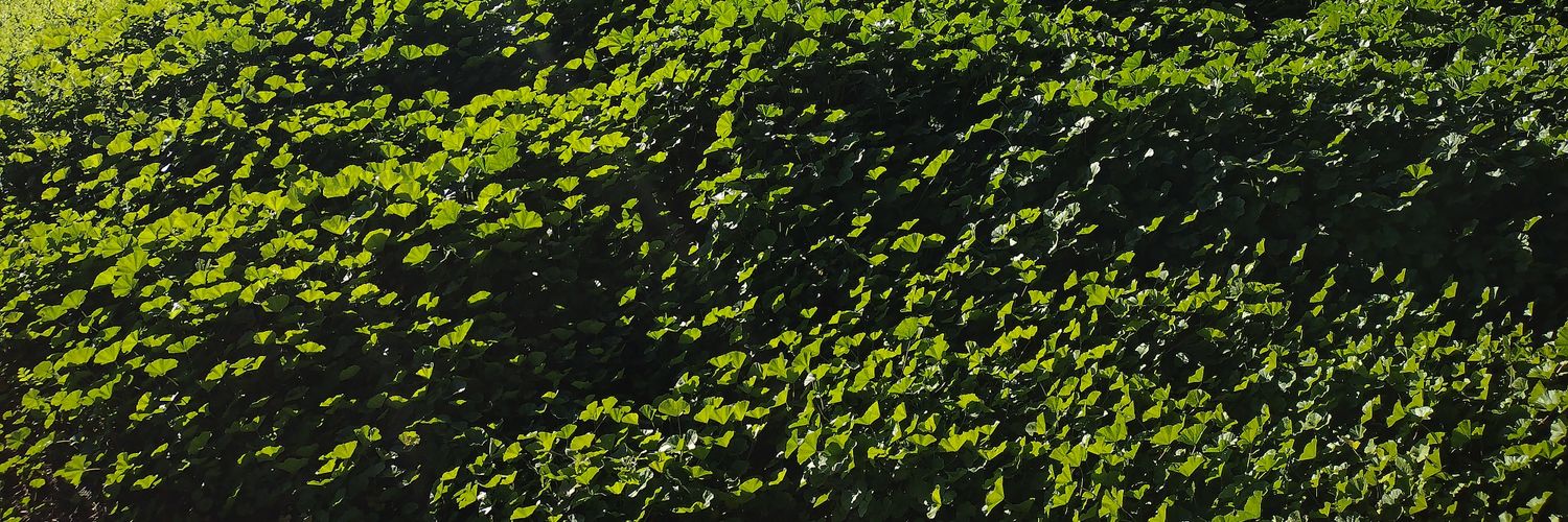 Earth banner