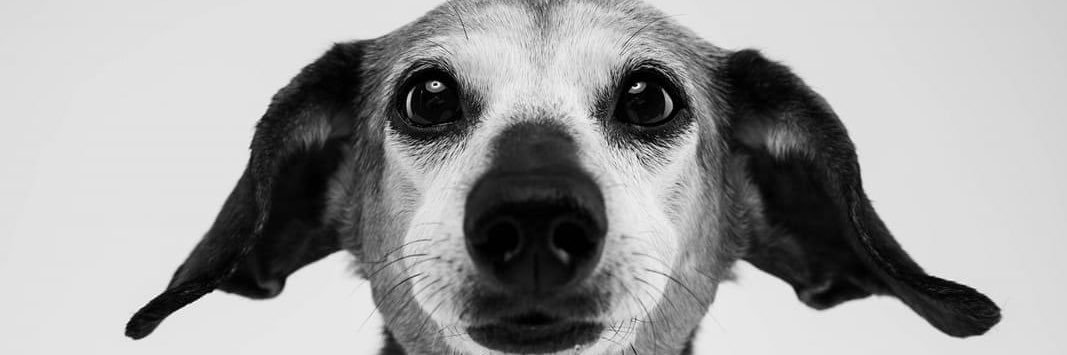 ErinLynchPhoto's profile banner image