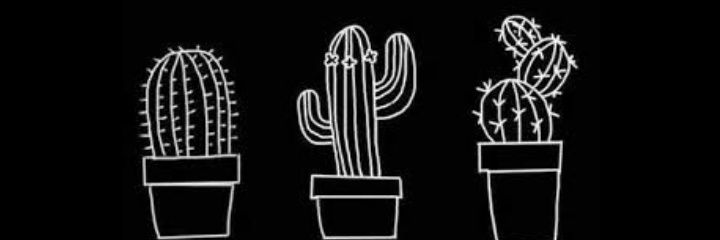 𝐙𝐨𝐞𝐲 banner