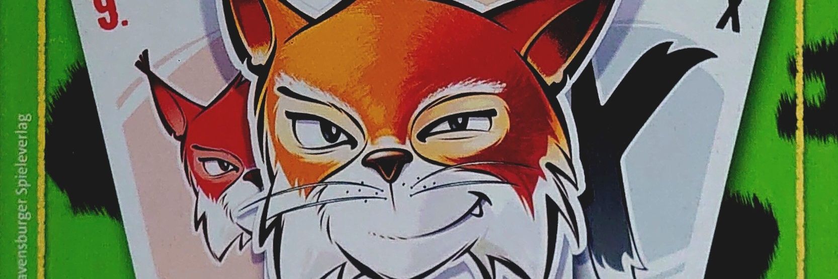 SohSak's profile banner image
