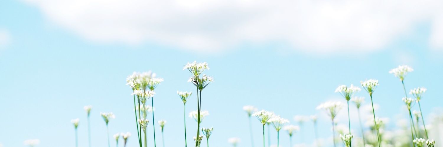 projecthhappy's profile banner image