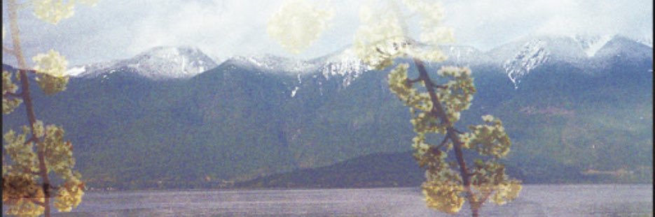 Splash banner