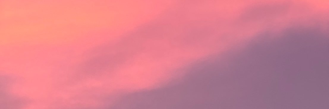 s banner