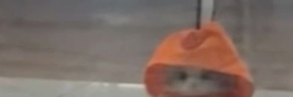 tsunoart Profile Banner