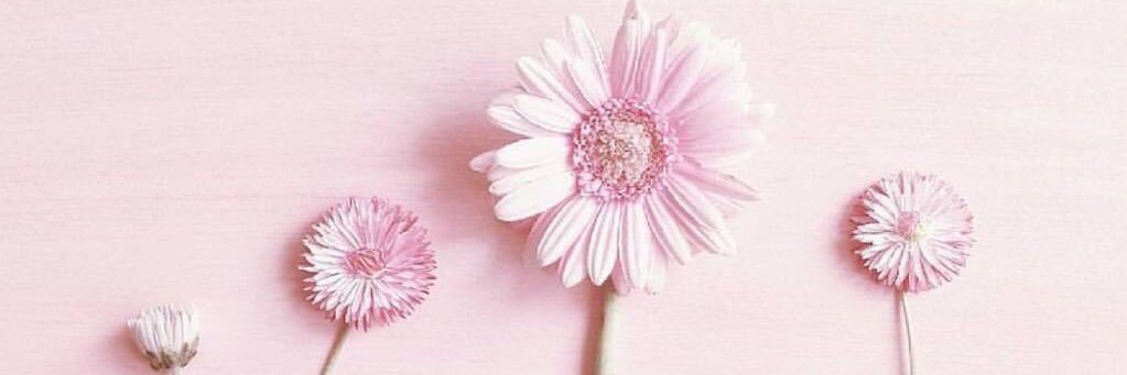 Areej3rf's profile banner image