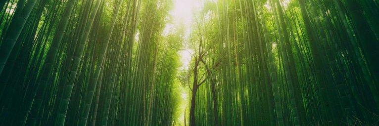 Sushirom's profile banner image