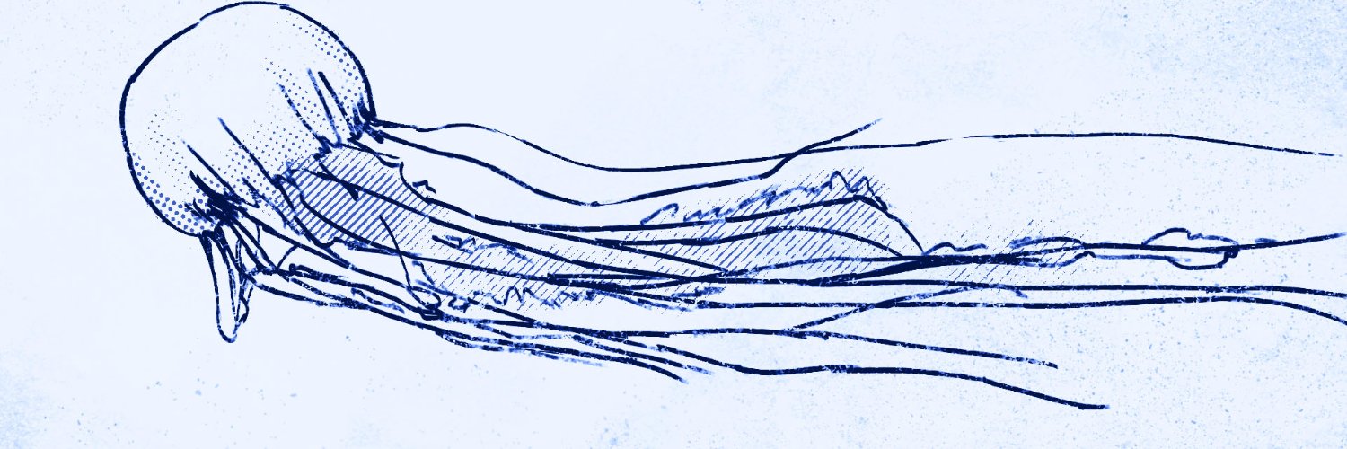 Allison Lorphanpaibul banner