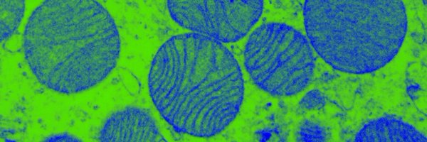 VillenaLab Profile Banner