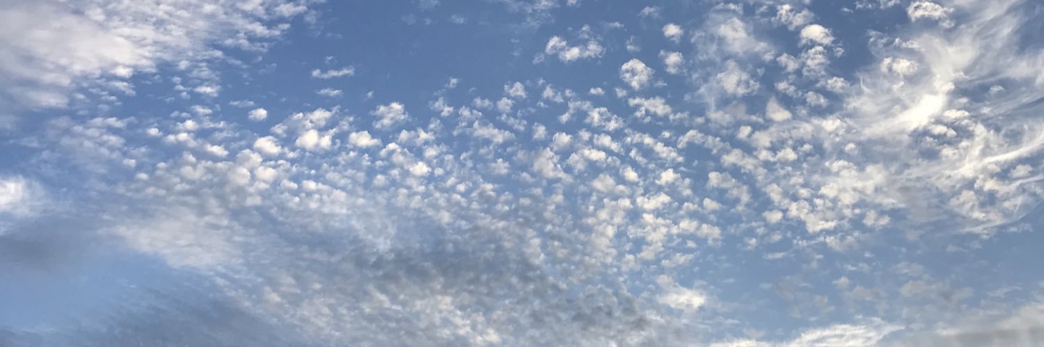 Swanouken's profile banner image