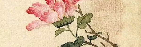 Labopleur's profile banner image