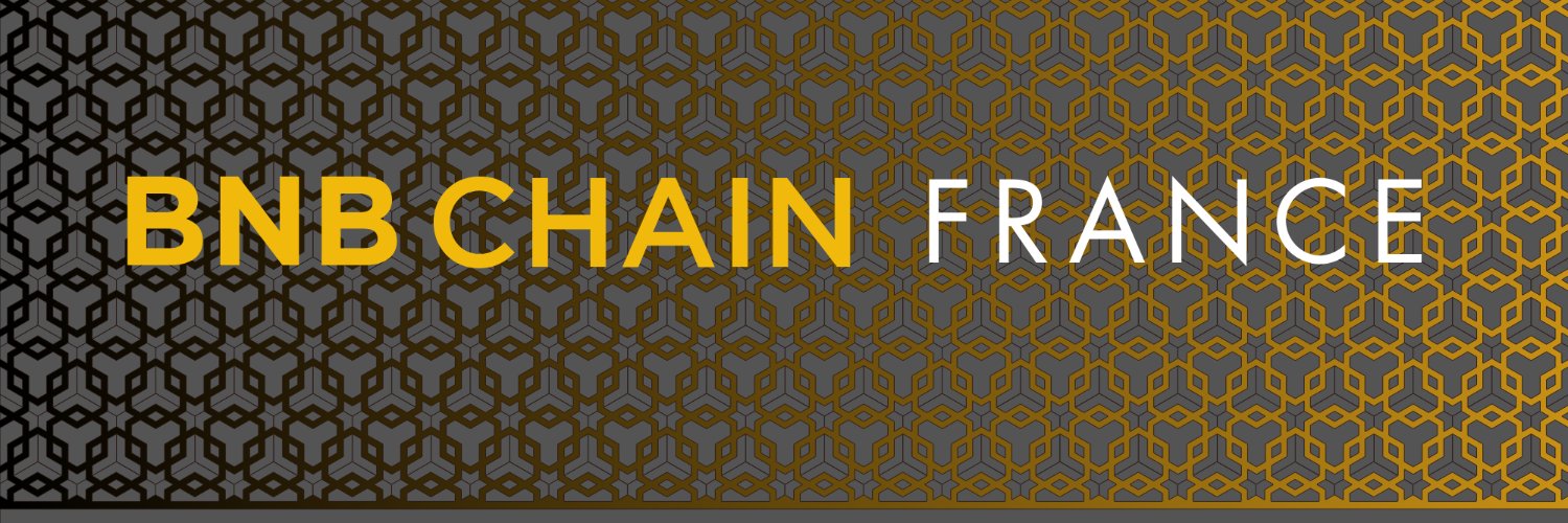 BNB Chain France 🇫🇷 banner