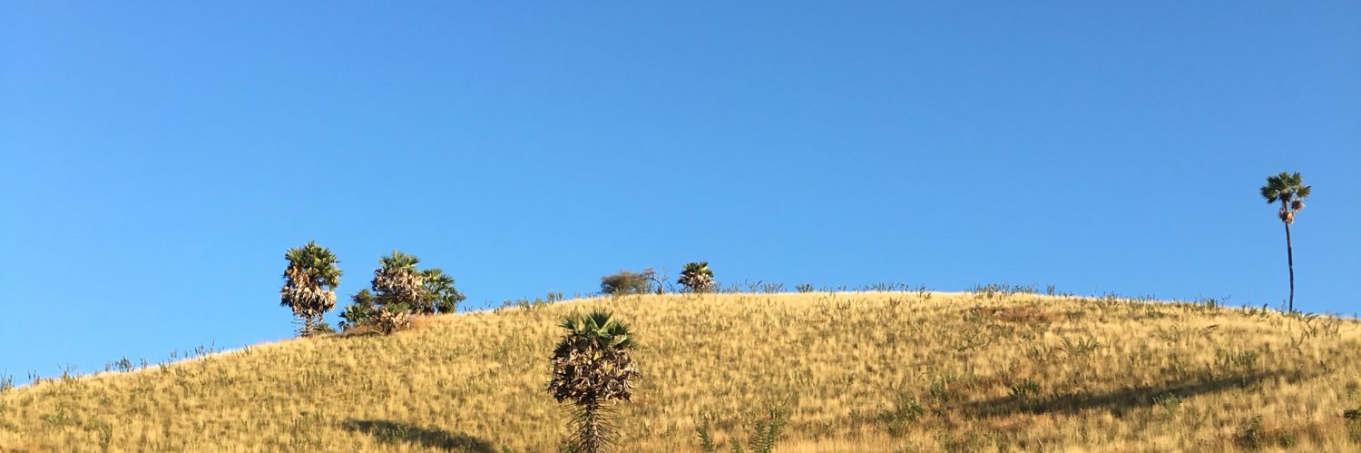 agunghng's profile banner image