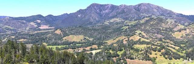 📎ChristineJasoni banner