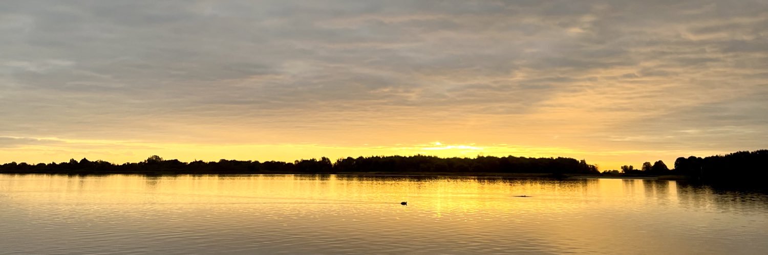 marzie's profile banner image
