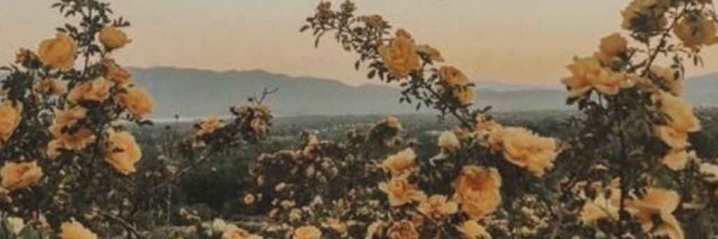 vodkavisions's profile banner image