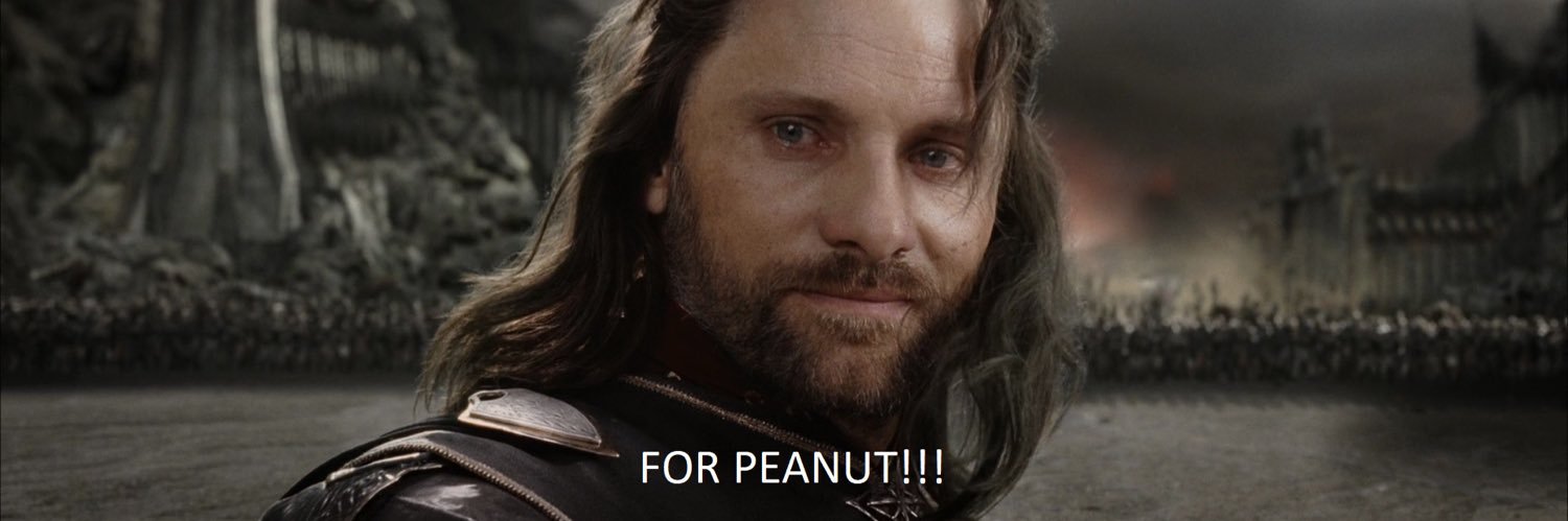 Ser VRAcius Maximus (2025 ⏩)'s banner