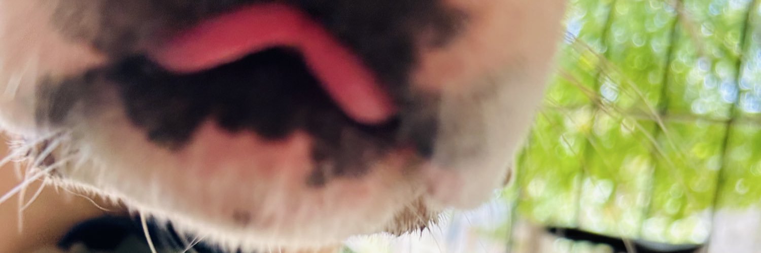 _valerodriguez7's profile banner image
