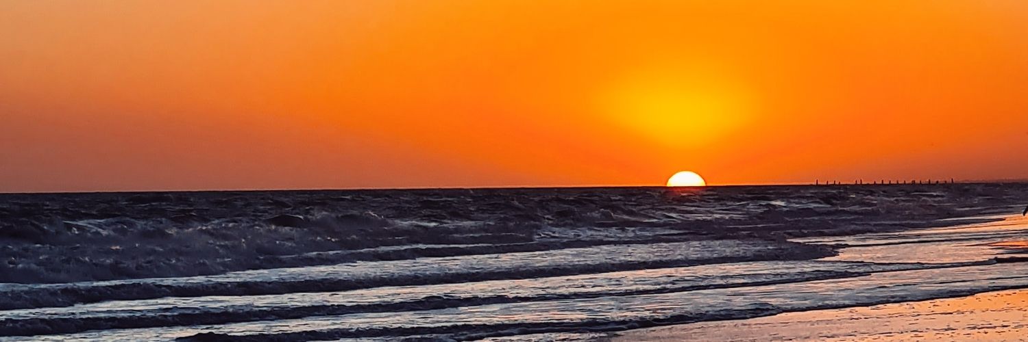 AnitaCopponi's profile banner image