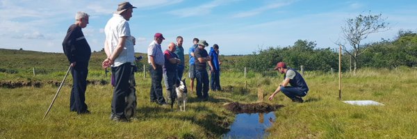 dtmcloughlin Profile Banner