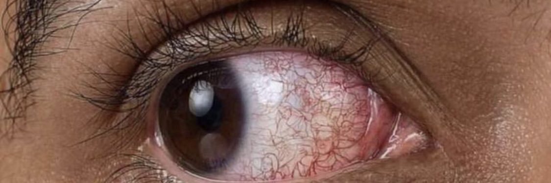 ‘Spen Descartes. banner