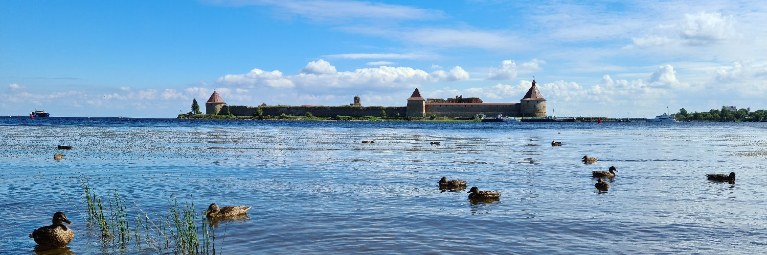 Ладожский тюлень's banner