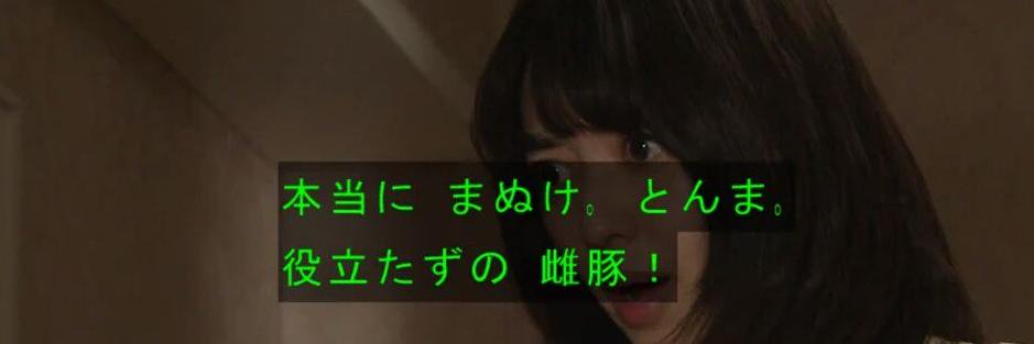 役立たずの雌豚CAMO's banner