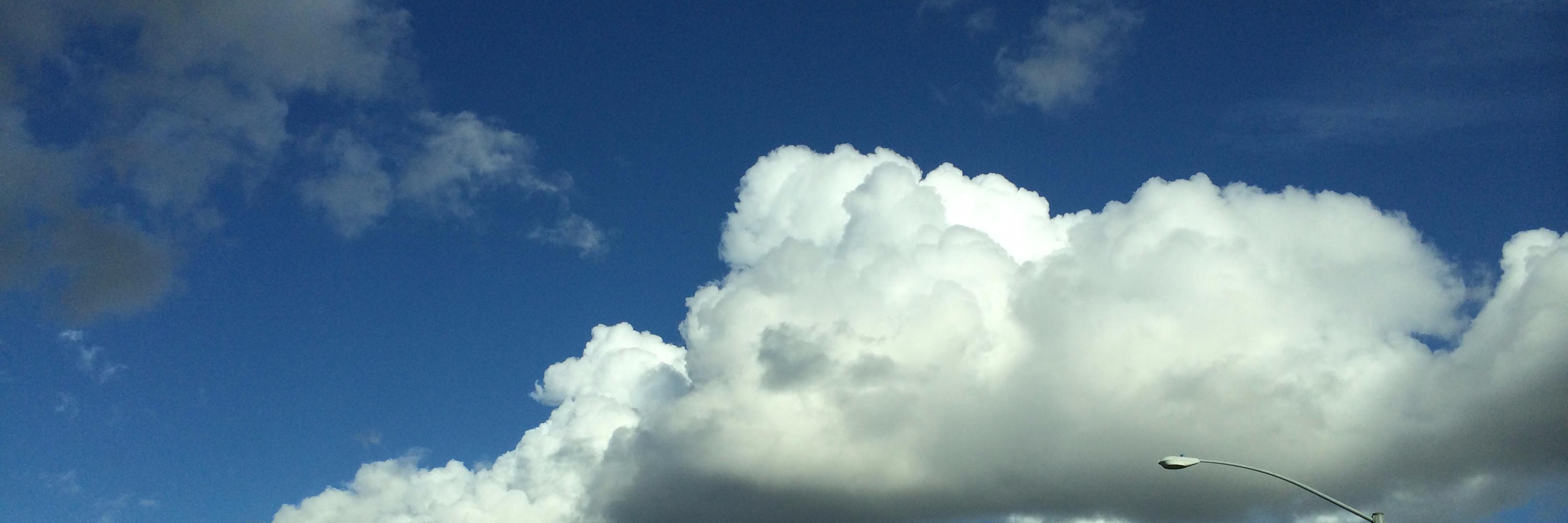 roslynnpryor's profile banner image