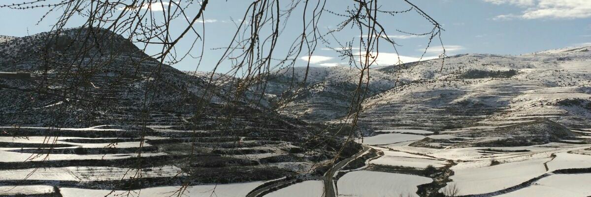 olgasancheznav's profile banner image