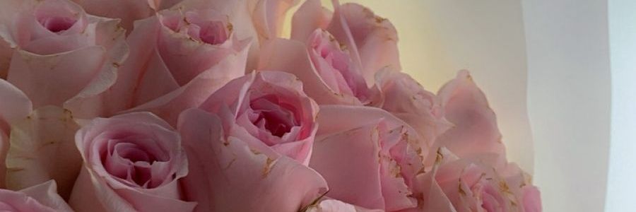 Xx_7n's profile banner image