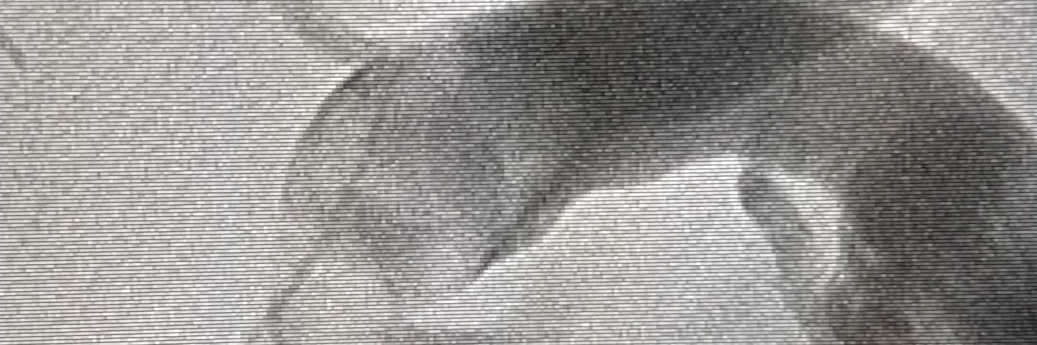 dclemo81's profile banner image