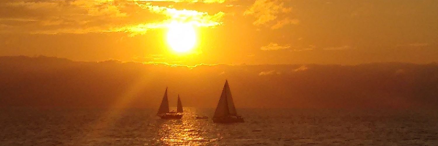 samselias's profile banner image