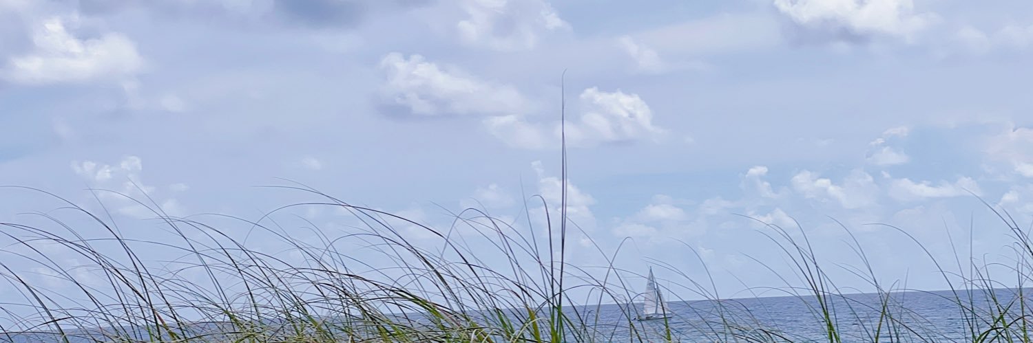 artfuleah's profile banner image