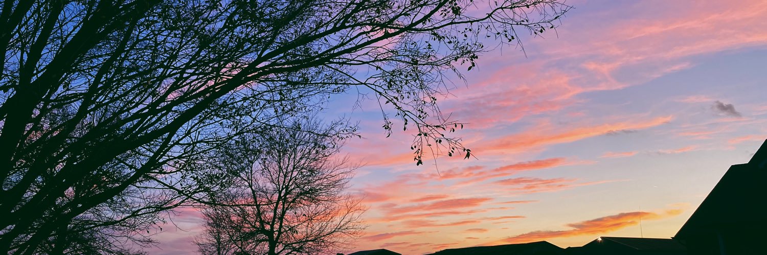 cameronrichard_'s profile banner image