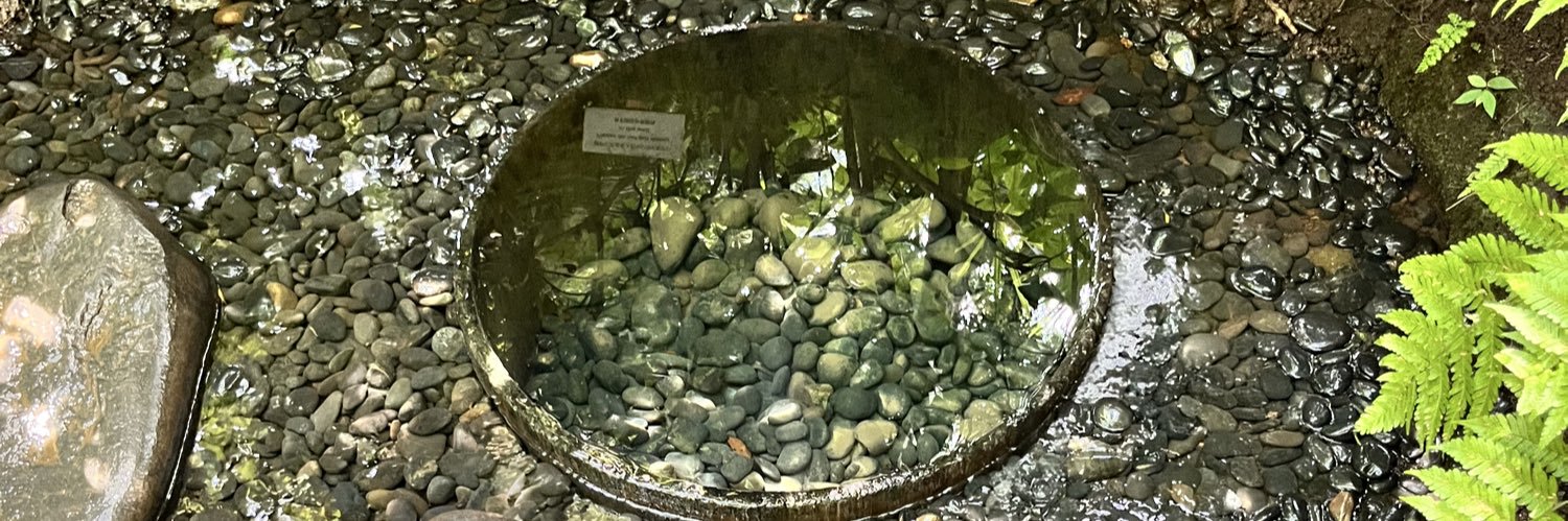 KanonAsaka's profile banner image