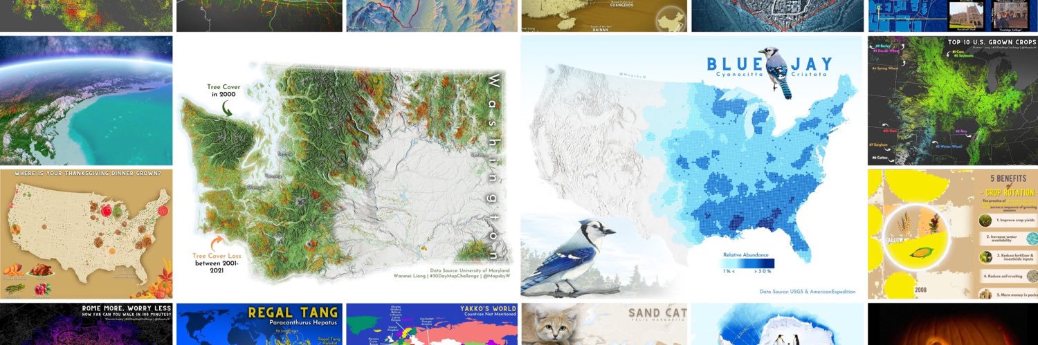 Wanmei L 🌎🛰️ banner